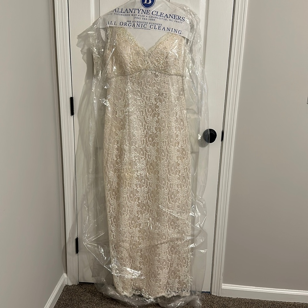 David’s Bridal champagne wedding dress. Size 14